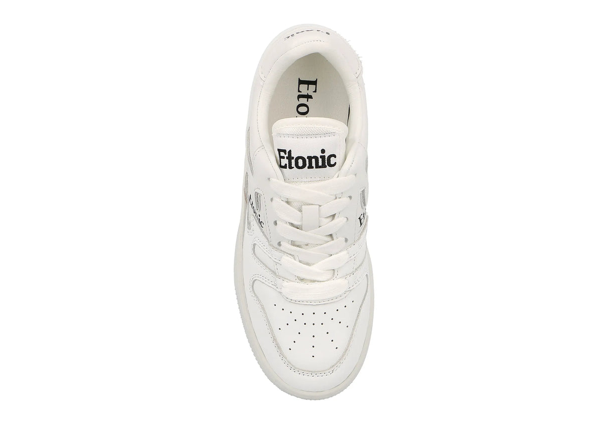 Offwhite