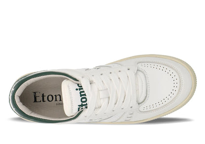 White Ivygreen