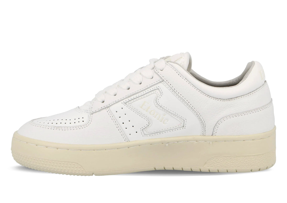 Offwhite