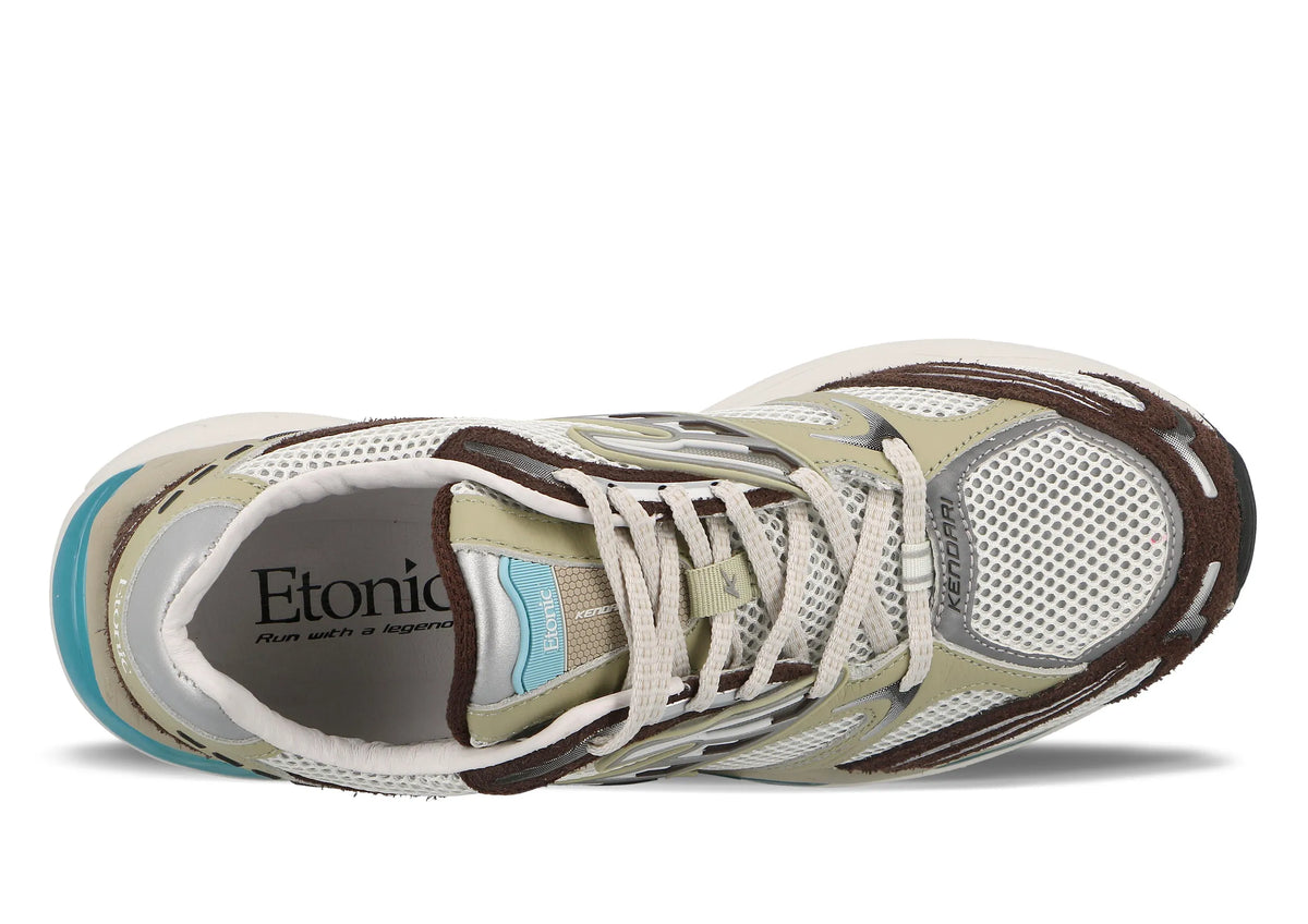 Jupiter Turtledove