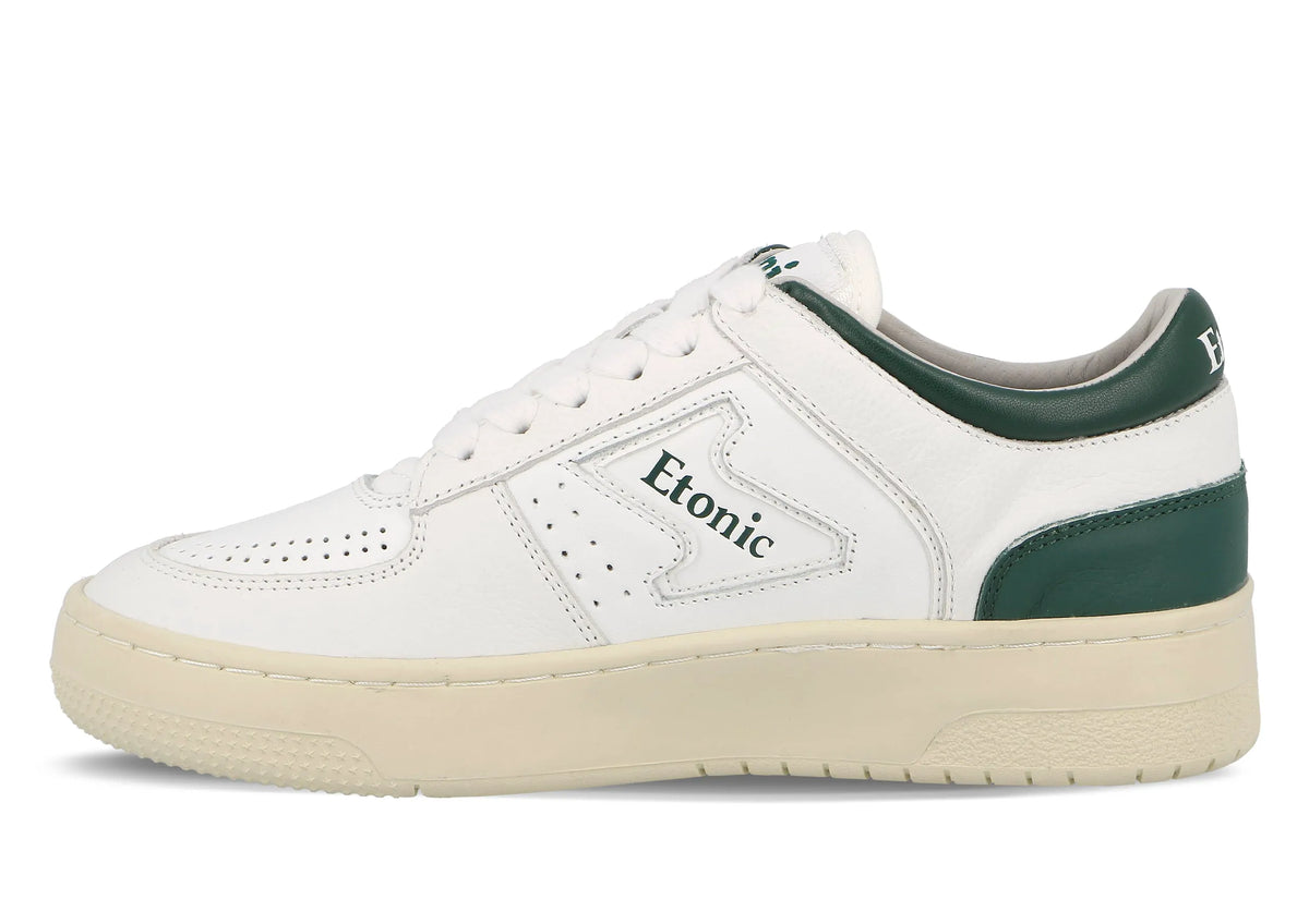 White Ivygreen
