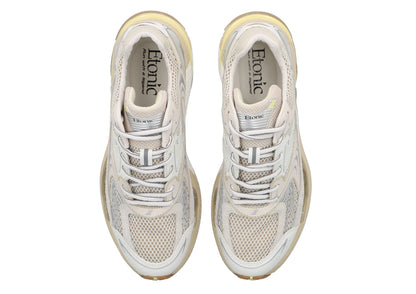 Terra Turtledove